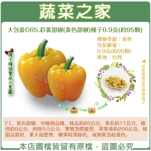 大包裝G65.彩黃甜椒(黃色甜椒)種子0.9克(約95顆)