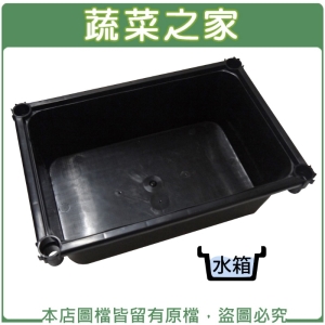 水箱