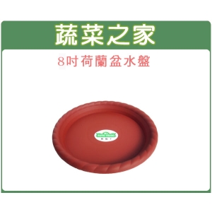 8吋荷蘭盆專用水盤(硬質波紋)