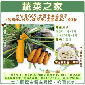 【蔬菜之家】大包裝G87.金寶夏南瓜種子(黃櫛瓜.節瓜.嫩南瓜.美國南瓜) 30顆