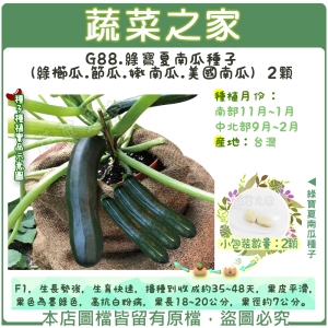 【蔬菜之家】G88.綠寶夏南瓜種子(綠櫛瓜.節瓜.嫩南瓜.美國南瓜) 2顆