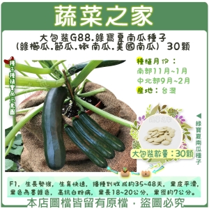 【蔬菜之家】大包裝G88.綠寶夏南瓜種子(綠櫛瓜.節瓜.嫩南瓜.美國南瓜) 30顆
