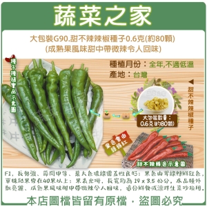 【蔬菜之家】大包裝G90.甜不辣辣椒種子0.6克(約80顆) (成熟果風味甜中帶微辣令人回味)