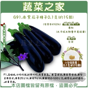 【蔬菜之家】G91.南黑茄子種子0.1克(約15顆)