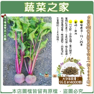 【蔬菜之家】大包裝C19.福康甜菜根種子55克(約4000顆)