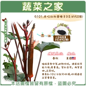 【蔬菜之家】G101.赤焰紅秋葵種子3克(約50顆)