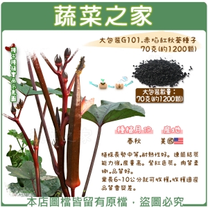 【蔬菜之家】大包裝G101.赤焰紅秋葵種子70克(約1200顆)