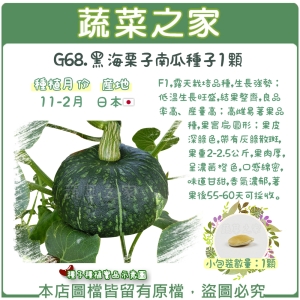 G68.黑海栗子南瓜種子1顆