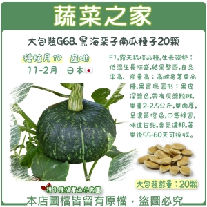 大包裝G68.黑海栗子南瓜種子20顆