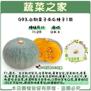 G93.白駒栗子南瓜種子1顆