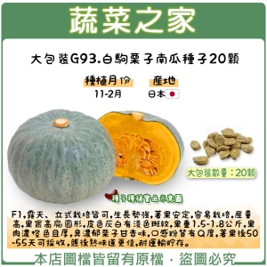 大包裝G93.白駒栗子南瓜種子20顆