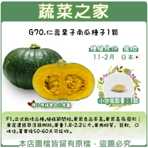 G70.仁壽栗子南瓜種子1顆