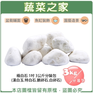 【蔬菜之家001-AA43-1】極白石 1吋3公斤分裝包 (漢白玉.特白石.鵝卵石.白卵石)