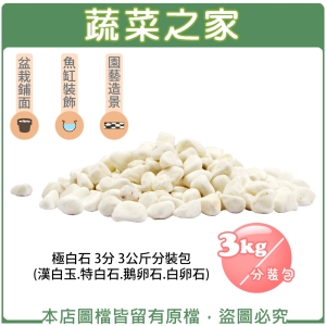 【蔬菜之家001-AA45-1】極白石 3分3公斤分裝包 (漢白玉.特白石.鵝卵石.白卵石)