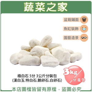 【蔬菜之家001-AA44-1】極白石 5分 3公斤分裝包 (漢白玉.特白石.鵝卵石.白卵石)