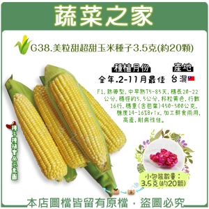 G38.美粒甜超甜玉米種子3.5克(約20顆)