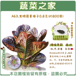A63.焦糖羅蔓種子0.8克(約800顆)
