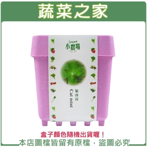 【蔬菜之家004-D32】iPlant小農場系列-貓薄荷