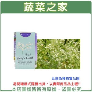 【蔬菜之家004-E00-1】iPlant易開罐花卉-滿天星2入/組(2入優惠價-單罐88元)