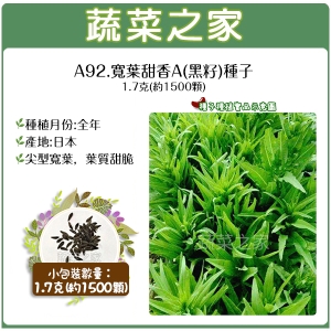 【蔬菜之家】A92.寬葉甜香A(黑籽)種子1.7克(約1500顆)