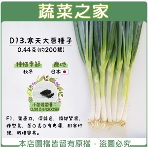 【蔬菜之家】D13.寒天大蔥種子0.44克(約200顆)