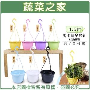 【蔬菜之家005-D77】4.5吋馬卡龍吊盆組 (含吊繩) 共7色可選