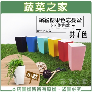 【蔬菜之家005-L186】繽紛糖果色忘憂盆(小)附內盆 共7色