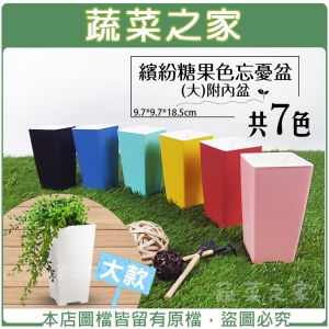 【蔬菜之家005-L187】繽紛糖果色忘憂盆(大)附內盆 共7色