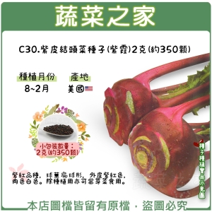 C30.紫皮結頭菜種子(紫霞)2克(約350顆)