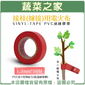 【蔬菜之家009-A100】PVC接枝(嫁接)專用膠帶(1.7mm*16M)-嫁接帶.嫁接膜.嫁接膠帶