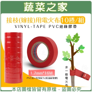 【蔬菜之家009-A100-10】PVC接枝(嫁接)專用膠帶 10捲/組-嫁接帶.嫁接膜.嫁接膠帶
