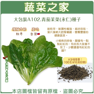 A102.青茄茉菜(永仁)種子5.5克(約300顆)