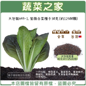 大包裝A49-1.紫薇白菜種子30克(約12500顆)