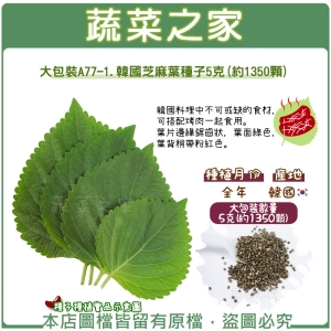 大包裝A77-1.韓國芝麻葉種子5克(約1350顆)