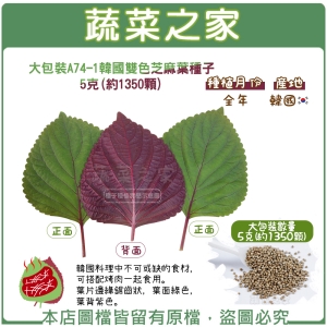 大包裝A74-1.韓國雙色芝麻葉種子5克(約1350顆)