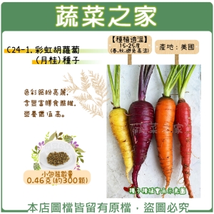 C24-1.彩虹胡蘿蔔(月桂)種子0.46克(約300顆)