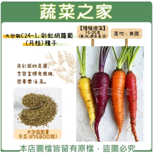 大包裝C24-1.彩虹胡蘿蔔(月桂)種子9克(約5800顆)