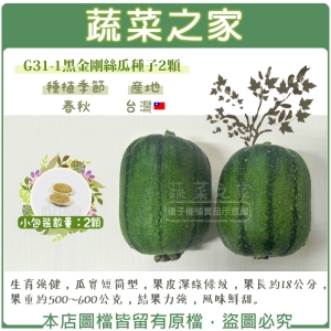 G31-1.黑金剛絲瓜種子2顆