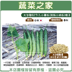 大包裝G17-1.小黃瓜(306小胡瓜)種子4.5克(約135顆)