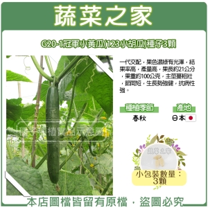 【蔬菜之家】G20-1冠軍小黃瓜(123小胡瓜)種子3顆