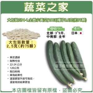 大包裝G94-1.全雌小黃瓜(1903)種子2.5克(約75顆)
