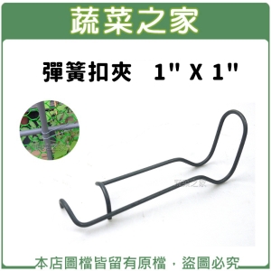 【蔬菜之家007-C43】彈簧扣夾   1" X 1"