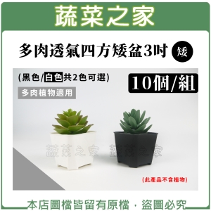 【蔬菜之家005-D29-1】多肉透氣四方矮盆3吋 (矮) 10個/組 (黑色.白色共2色可選)
