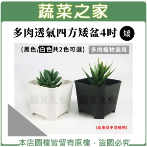 【蔬菜之家005-D30】多肉透氣四方矮盆4吋(矮)(黑色.白色共2色可選)