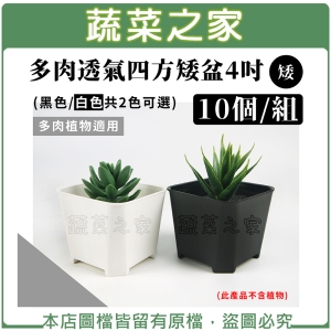 【蔬菜之家005-D30-1】多肉透氣四方矮盆4吋(矮) 10個/組 (黑色.白色共2色可選)