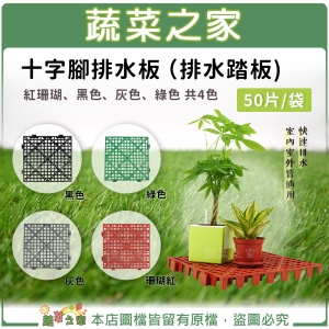 【蔬菜之家011-A39-50】十字腳排水板(排水踏板) 50片/袋 (珊瑚紅、黑色、灰色、綠色 共4色)