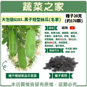 大包裝G103.黑子短型絲瓜(名家) 種子20克(約170顆)