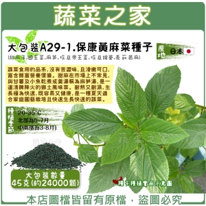 大包裝A29-1.保康黃麻菜種子45克(約24000顆) (甜麻子.國王菜.麻芛.埃及帝王菜.埃及錦葵.長蒴黃麻)