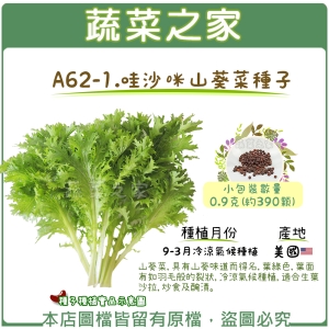 A62-1.哇沙咪山葵菜種子0.9克(約390顆)