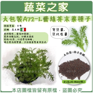 大包裝A72-1.蕾絲芥末菜種子45克(約39000顆)寶貝菜.貝比生菜